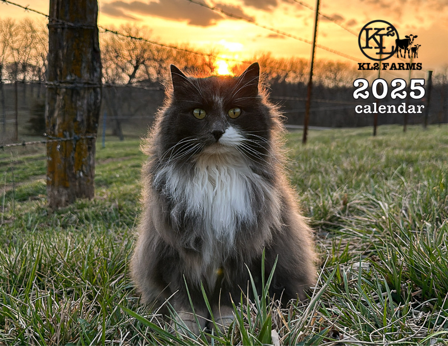 2025 CAT CALENDAR