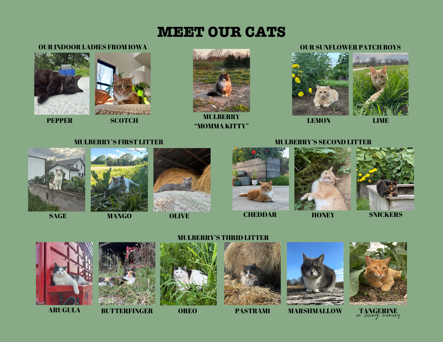 2026 KL2 FARMS CALENDAR