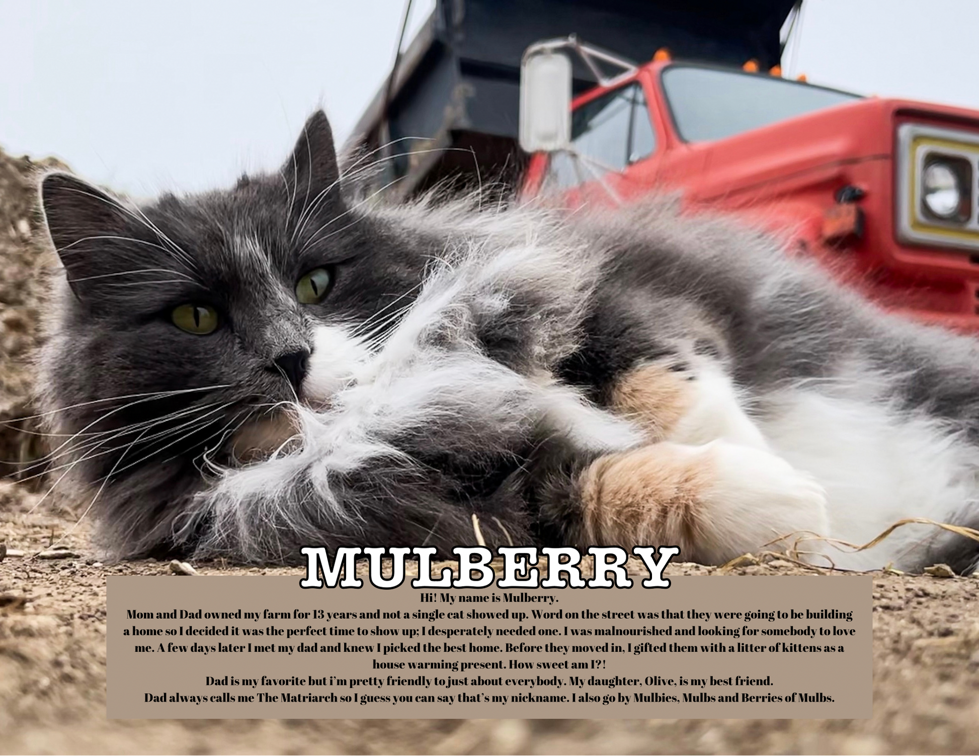 SAMPLE OF INSIDE CALENDAR PAGE